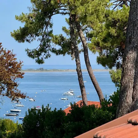 Magnifique D'architecte Avec Vue Sur Le Bassin D'arcachon Au Village Du Canon - Cap Ferret 빌라 *